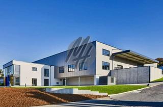 Büro zu mieten in 61352 Bad Homburg vor der Höhe, NEUBAU ✓ Lager (1.200 - 3.000 m²) & Büro (500 - 1.000 m²) zu vermieten