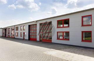 Gewerbeimmobilie mieten in 63743 Aschaffenburg, KEINE PROVISION ✓ VIELSEITIG NUTZBAR ✓ Lager-/Verkaufsflächen (1.300 m²) zu vermieten