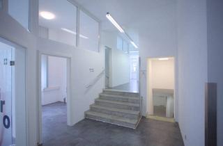 Büro zu mieten in 65929 Höchst, Büro- und Praxisfläche in Ffm-Höchst Nähe Zuckschwerdtstrasse // EG + UG // 251,0 m²