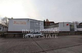 Gewerbeimmobilie kaufen in 02763 Zittau, Mit 2 Gewerbehallen bebautes Grundstück im Landkreis Görlitz