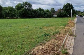 Gewerbeimmobilie kaufen in 53881 Euskirchen, Landwirtschaftliches Grundstück mit Potential am Ortsrand von Rheder...