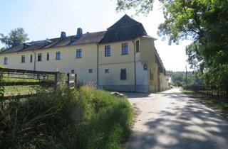 Wohnung mieten in 65618 Selters (Taunus), Wohnen im alten Gutshaus im Taunus, mitten im Wald.