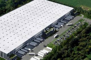 Gewerbeimmobilie mieten in 99819 Marksuhl, Eisenach | ca. 31.000 m² | Logistikneubau | Rampen | 24/7 Genehmigung