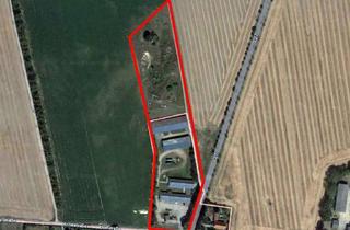Gewerbeimmobilie kaufen in Hemstedt 59, 39638 Hemstedt, Gewerbegrundstück mit 4 Hallen und großer PV-Anlage in Hemstedt bei Gardelegen