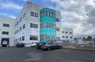 Gewerbeimmobilie mieten in 33181 Bad Wünnenberg, Colliers Exklusiv | Kreuz A33/A44 | 16.800 m² | 13 m UKB