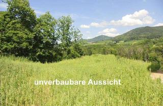 Grundstück zu kaufen in 77880 Sasbach, Exklusives Baugrundstück in sensationeller Lage von Sasbach