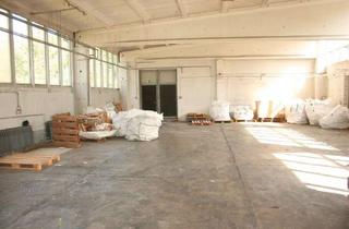 Gewerbeimmobilie mieten in 02994 Bernsdorf, Lagerhalle als Teilanmietung ab 100 m²