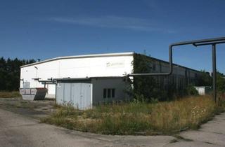 Gewerbeimmobilie mieten in 02994 Bernsdorf, Lagerhalle auch teilweise zu mieten