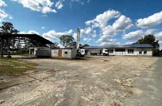 Anlageobjekt in Hemstedt 59, 39638 Hemstedt, Gewerbegrundstück mit 4 Hallen und großer PV-Anlage in Hemstedt bei Gardelegen