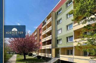 Haus kaufen in 06667 Weißenfels, NEU: Wohnungspaket in Weißenfels - Rendite durch Miete