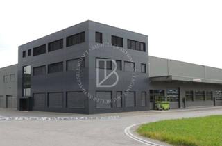 Gewerbeimmobilie mieten in 68199 Waldhof, "BAUMÜLLER & AG" - ca. 3.000 m² Neubau Hallenfläche - Rampe + ebenerdig!