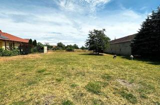 Grundstück zu kaufen in Dorfmitte 24, 38486 Wenze, Bauland mit angrenzendem Gewerbegrundstück inkl. modernen Stallgebäude in Trippigleben bei Klötze