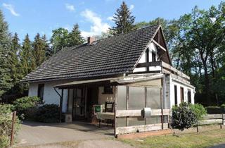 Einfamilienhaus kaufen in 06868 Ragösen, "Tolles Einfamilienhaus in Krakau sucht neuen Eigentümer"