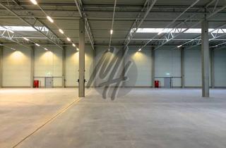 Büro zu mieten in 63450 Hanau, SCHNELL VERFÜGBAR ✓ 24/7-NUTZUNG ✓ Lager-/Logistikflächen (1.350 m²) mit optional Büro zu vermieten