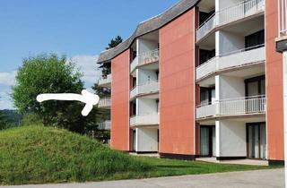 Wohnung kaufen in Dorfstraße, 94089 Neureichenau, Zu verkaufen Appartment Bayerischer Wald für Urlaub, Vermietung oder Dauerwohnsitz