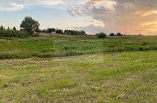 Grundstück zu kaufen in 16278 Angermünde, *Pferdewiese oder Freizeitfläche zu verkaufen!*