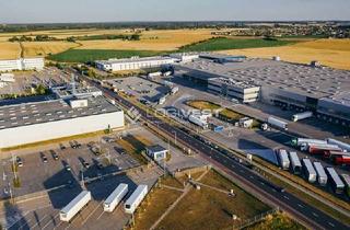 Gewerbeimmobilie mieten in 91601 Dombühl, Projektierter Neubau einer Lager- und Logistikhalle