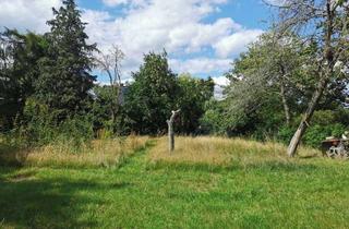 Doppelhaushälfte kaufen in 16321 Bernau bei Berlin, Schlüsselfertiges ELKHAUS + Grundstück mit Feldblick in Bernau!