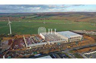 Gewerbeimmobilie mieten in 99820 Hörselberg-Hainich, Logistikimmobilie bei Eisenach I Neubau I 50.000 m², teilbar ab 7.600 m² I direkt an der A 4
