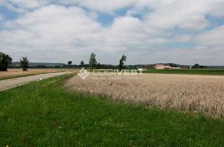 Gewerbeimmobilie kaufen in 94036 Heining, Gewerbegrundstück sofort bebaubar mit direkter Anbindung an die Bundesstraße!