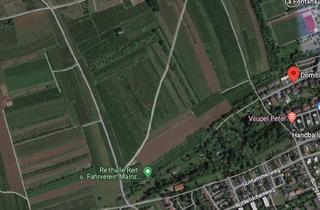 Grundstück zu kaufen in 55126 Finthen, Top landwirtschaftliche Fläche mit Obstbäumen