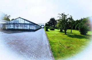 Einfamilienhaus kaufen in 27639 Nordholz, Solides Einfamilienhaus nutzbar für 2 Familien mit großem Grundstück.