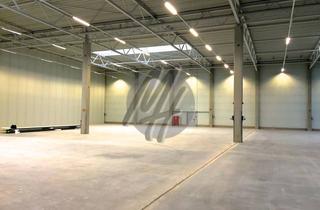 Büro zu mieten in 63477 Maintal, SCHNELL VERFÜGBAR ✓ 24/7-NUTZUNG ✓ Lager-/Logistikflächen (4.000 m²) mit Büro (200 m²) zu vermieten