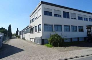 Büro zu mieten in 63128 Dietzenbach, 610 m² Lagerhalle + 600 m² Freifläche + 237 m² Bürofläche in Dietzenbach zu vermieten