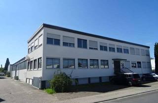 Büro zu mieten in 63128 Dietzenbach, 610 m² Lagerhalle + 371 m² Bürofläche in Dietzenbach zu vermieten
