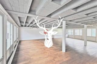 Büro zu mieten in Rheinstraße, 79761 Waldshut-Tiengen, Hochwertige Büro- oder Praxisfläche mitten in Waldshut zu vermieten