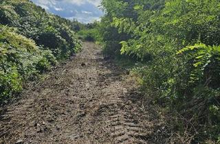 Gewerbeimmobilie kaufen in 47447 Moers, Gewerbe / Industriegrundstück mit Bestandsgebäuden