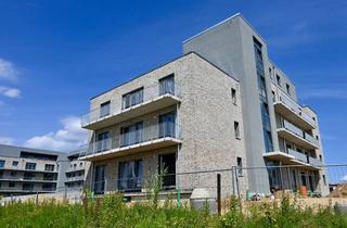 Wohnung kaufen in Kampstraße 35, 23843 Bad Oldesloe, [WE 2.04 • EG • Typ 4] gemütliche 2 Zimmer-Wohnung mit Süd-Terrasse