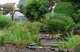 Haus kaufen in 31061 Alfeld (Leine), Lassen Sie den Sommer im einem Erholungsbereich mit einem Gartenteich ausklingen.
