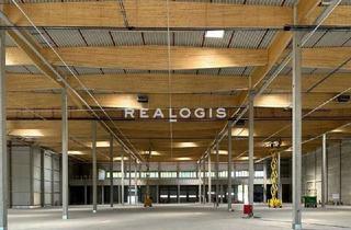 Büro zu mieten in 04420 Markranstädt, Bezug ab sofort | Neubau | ca. 14.000 m² | teilbar ab 2.500 m²
