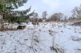 Grundstück zu kaufen in 38899 Hasselfelde, Grundstück für Pferdeliebhaber!