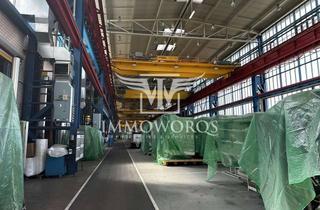 Gewerbeimmobilie mieten in 77746 Schutterwald, Bestandshalle sucht neuen Mieter **provisionspflichte Vermietung**