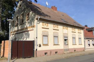 Haus kaufen in Stadtgraben, 39439 Güsten, Altes Haus sucht neuen Besitzer