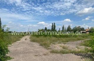 Gewerbeimmobilie kaufen in Delitzscher Straße 57, 06112 Freiimfelde/Kanenaer Weg, 7256 m² Gewerbegrundstück in bester Lage der Delitzscher Straße, zur Bebauung vorbereitet