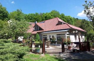 Haus kaufen in 76889 Birkenhördt, Großzügiges , helles Landhaus am Rand des Pfälzer Waldes + schöne Wohneinheit im DG