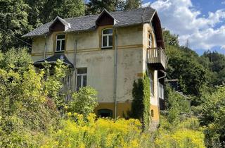 Villa kaufen in An Der Schlösselmühle 11, 09439 Amtsberg, Denkmalgeschütze Villa der ehem. Patentpapierfabrik in Amtsberg südlich von Chemnitz auf 2.800 m²