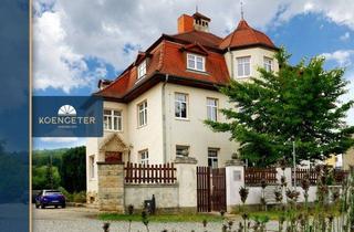 Villa kaufen in 06632 Freyburg, Historische Villa mit eigenem Bootsanleger in Freyburg