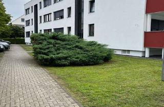 Wohnung mieten in Auf Der Mersch 13A, 33175 Bad Lippspringe, 3 Zimmerwohnung mit Balkon frisch saniert sucht neue Mieter