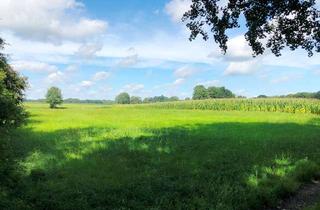 Gewerbeimmobilie kaufen in 49661 Cloppenburg, Landwirtschaftliche Fläche in Randlage von Cloppenburg
