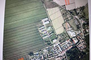 Gewerbeimmobilie kaufen in Behnsdorfer Straße U.a., 39345 Flechtingen, Schnäppchen aus Insolvenz: 8 Grundstücke in Sachsen-Anhalt