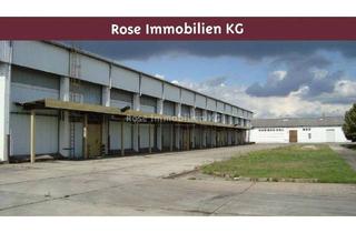 Gewerbeimmobilie kaufen in 15328 Küstriner Vorland, ROSE IMMOBILIEN KG: Lager-/Produktion zu verkaufen!