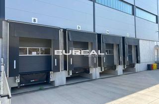 Gewerbeimmobilie mieten in 06686 Zorbau, Logistik - Neubau 7 ab sofort / 14 Rampen