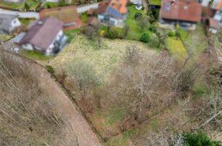 Grundstück zu kaufen in Lichtsberg Weg, 83313 Siegsdorf, Ruhig gelegenes Baugrundstück - Mit Hanglage in Siegsdorf