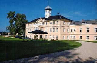 Haus kaufen in 08606 Oelsnitz, Rittergut / Schloss Untermarxgrün - Traumhaftes historisches und saniertes Denkmalobjekt in Oelsnitz