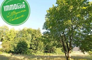 Grundstück zu kaufen in 09661 Hainichen, Die Basis für Ihr Zuhause!