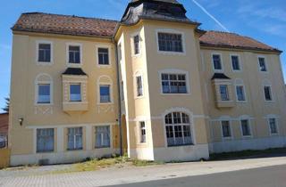 Haus kaufen in Grimmaer Str, 04668 Grimma, Müllerstanzpalast